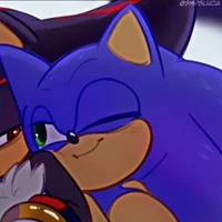 SONIC T HEDGEHOG 