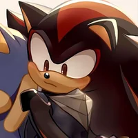 SHADOW T HEDGEHOG 
