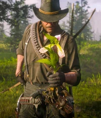 Arthur Morgan