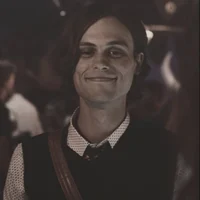 MATTHEW GRAY GUBLER