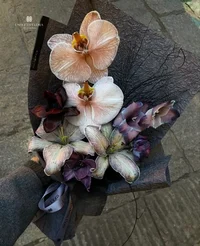 SKK-ADA CHUUYA n POE