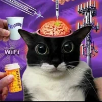 I have no eyebrows a