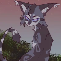 Jayfeather-kittypet
