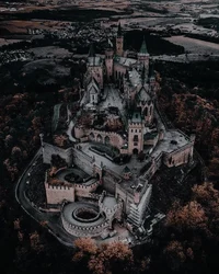 School For Creatures
