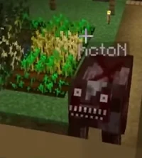 Dont feed ur cow mea