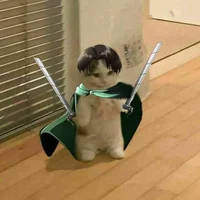 Cat Levi Ackerman