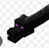 Ender dragon 
