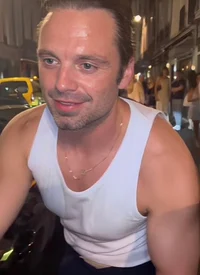 Sebastian Stan 