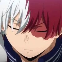 Shoto Todoroki