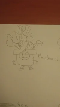 Plantoccio