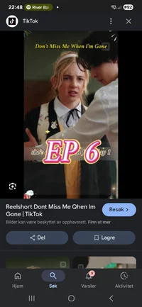 DMMWIG
