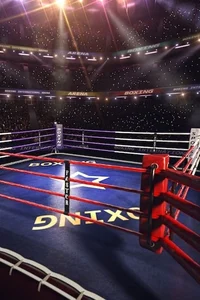 Boxing Ring