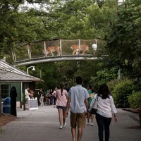Zoo
