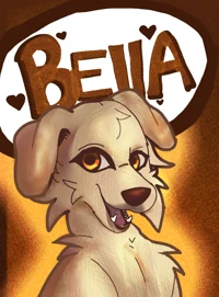 Bella - survivors