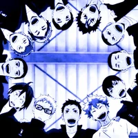 036 Karasuno Team