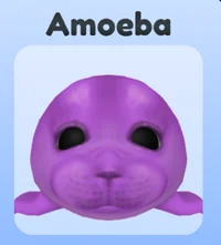 Amoeba - BASS