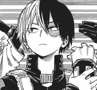 Shoto Todoroki