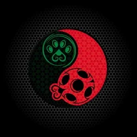 Miraculos Ladybug-RP