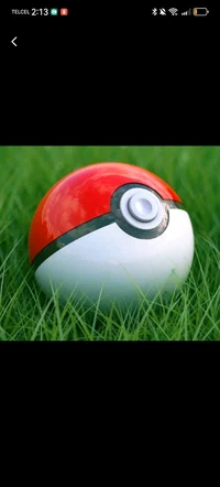 Pokeball magica