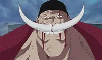 Whitebeard