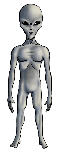 Female Grey alien
