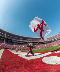 Alabama Football 