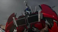 Optimus -TFP