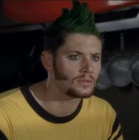 BOAZ PRIESTLY
