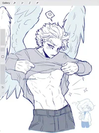 Hawks