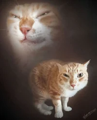 Kacbdiol