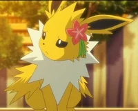 Your own Jolteon