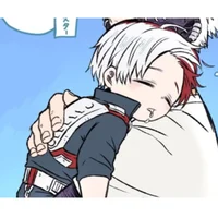 Shoto Todoroki