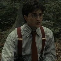HARRY P