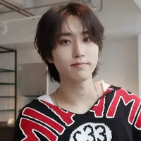 Han Jisung
