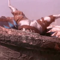 rita repulsa