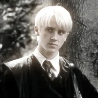 Draco L Malfoy