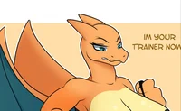 Carla the charizard