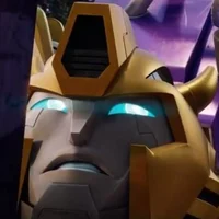 Bumblebee TFES