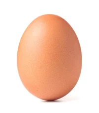 Egg
