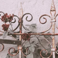 19 - ever after high