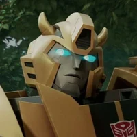 Bumblebee TFES 