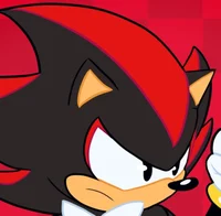 Shadow The Hedgehog