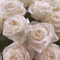 02 - coriolanus snow