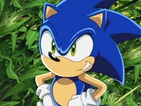 Sonic the hedgehog 