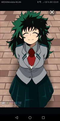 Pro hero deku