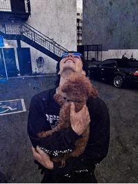 Kole