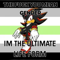 Shadow the hedgehog