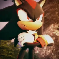 Shadow The Hedgehog