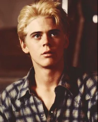 Ponyboy Curtis 