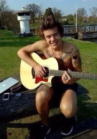harry styles - 2013